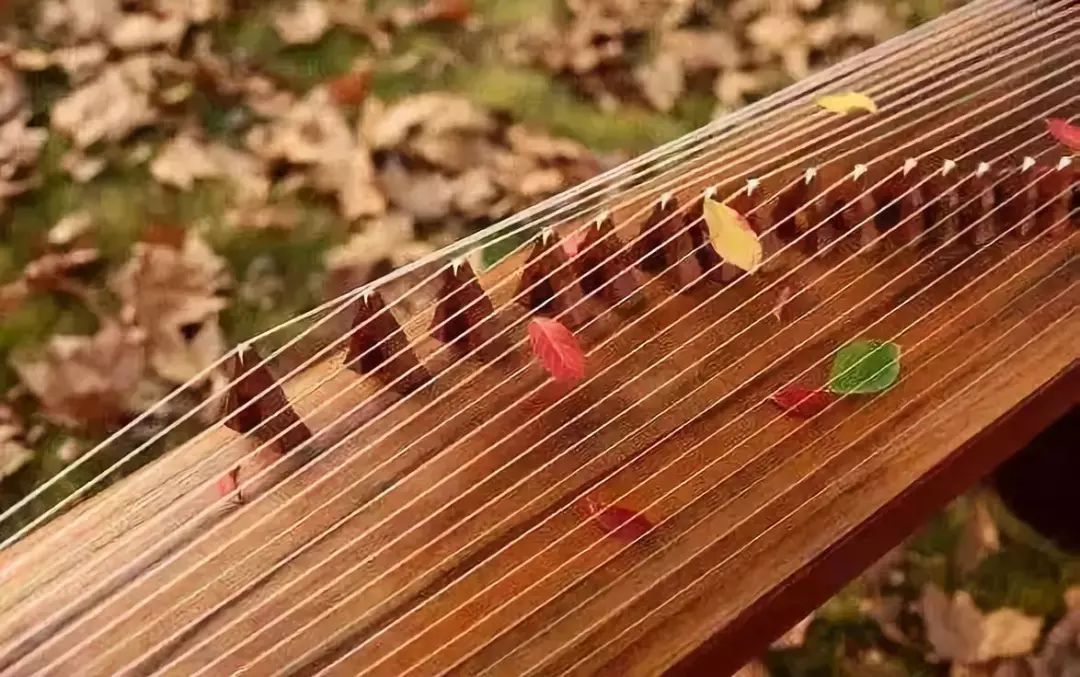 为什么中老年一定要学习一样乐器,为什么越来越多的中老年人学钢琴