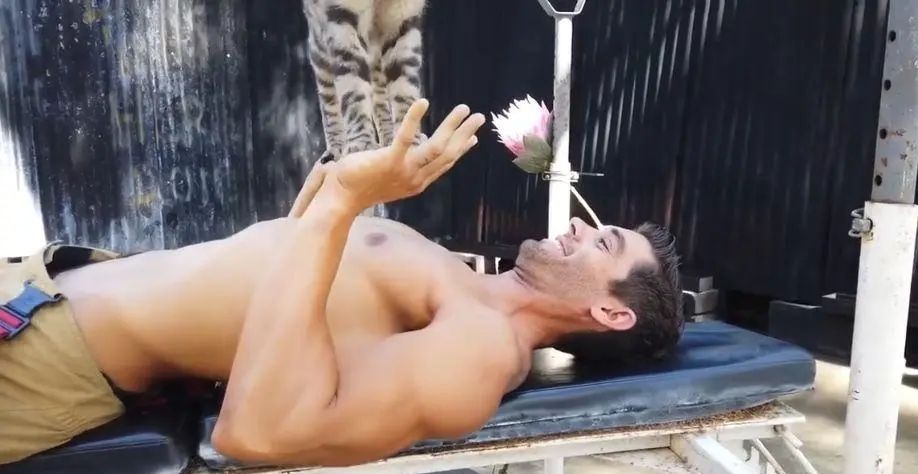 澳大利亚慈善消防员,澳大利亚消防员拯救动物