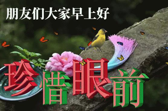 早上好图片最新漂亮图文,早上好图片最新美景