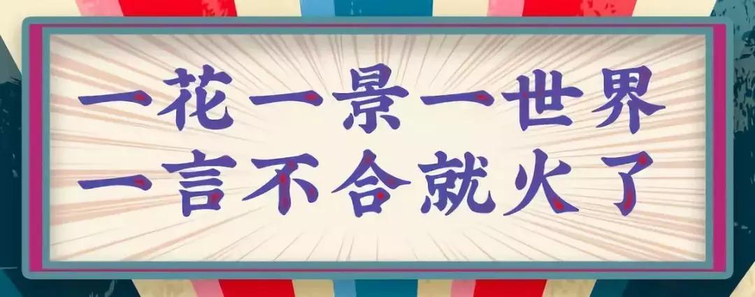 海鲜大派对完整版,海鲜大趴多少钱