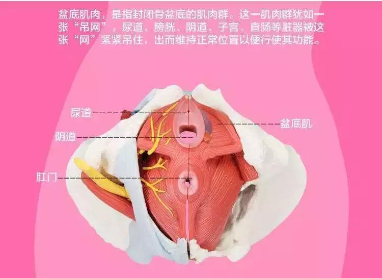 女性必学技能，送给所有女性最贴心最实用的礼物！