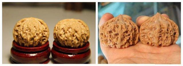 磨盘的山字尖会盘掉吗,磨盘有尖的原因