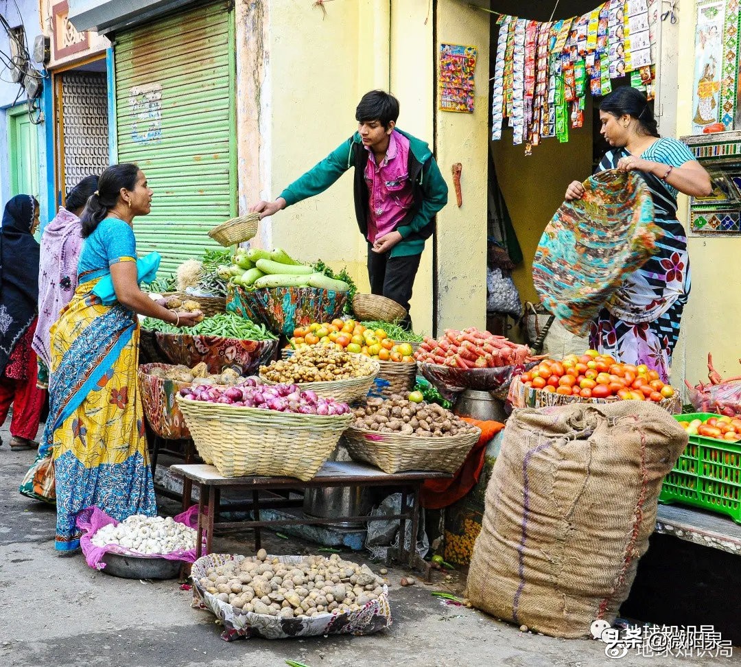 印度，“野生便利店”|地球知识局
