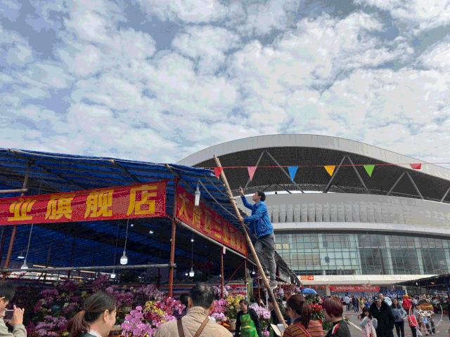 肇庆各区花市,2020肇庆市花市图片