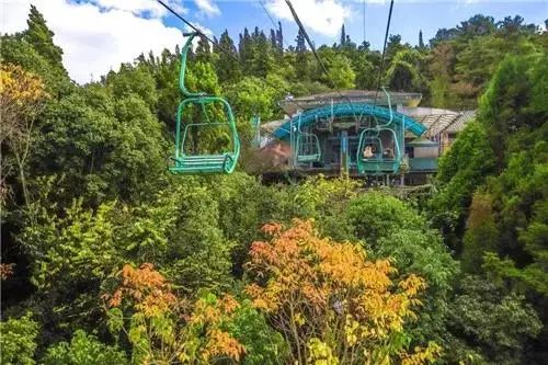 昆明市区旅游推荐避暑,昆明小众避暑景区推荐一下