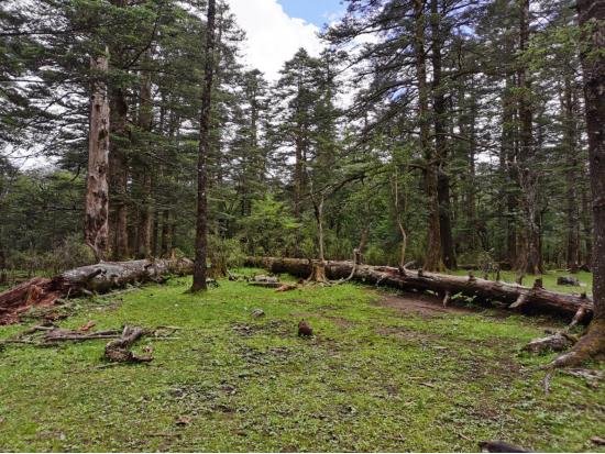 带着女儿去旅行云南,带着女儿去云南丽江玩