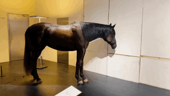 别争了,这条马路才是魔都内卷之王