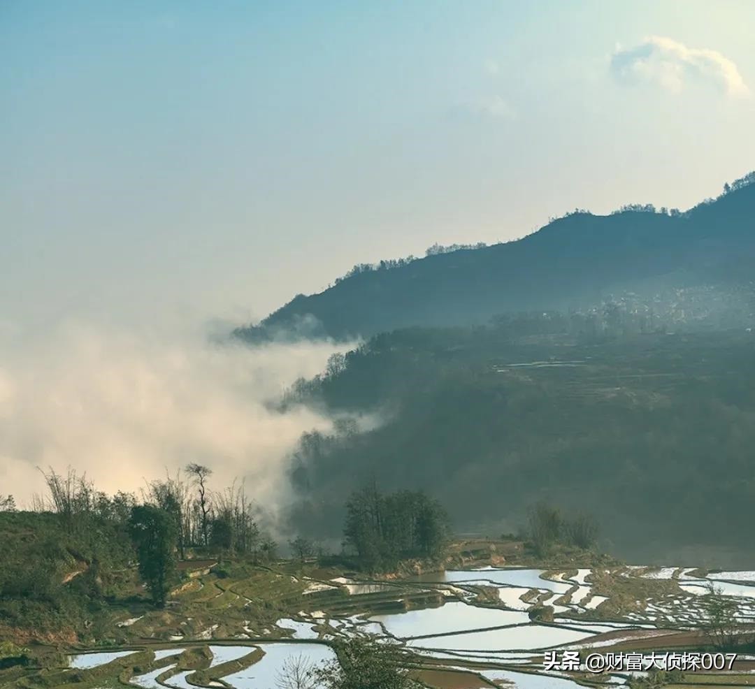 奇怪的基金,太平基金公募规模