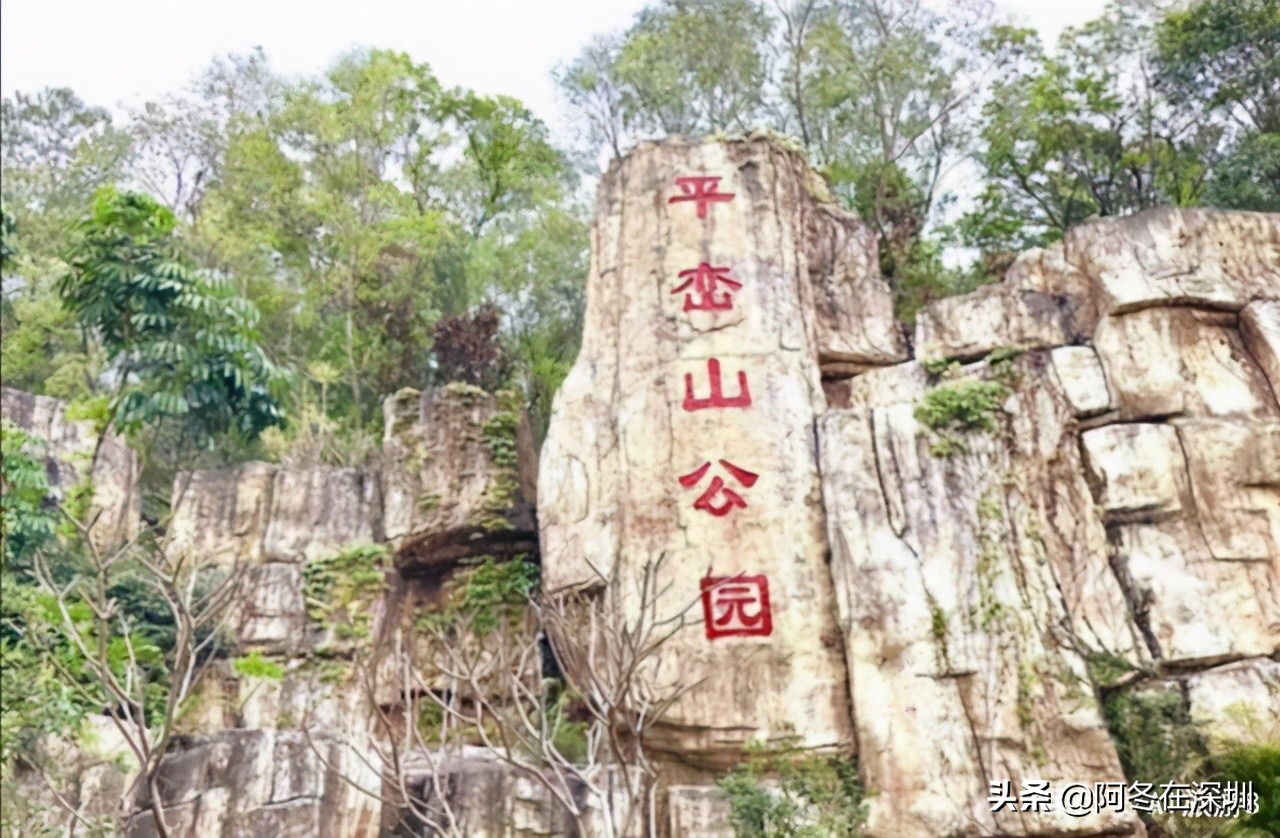 深圳一日游必去的十个免费景点,深圳一日游必去十大网红景点