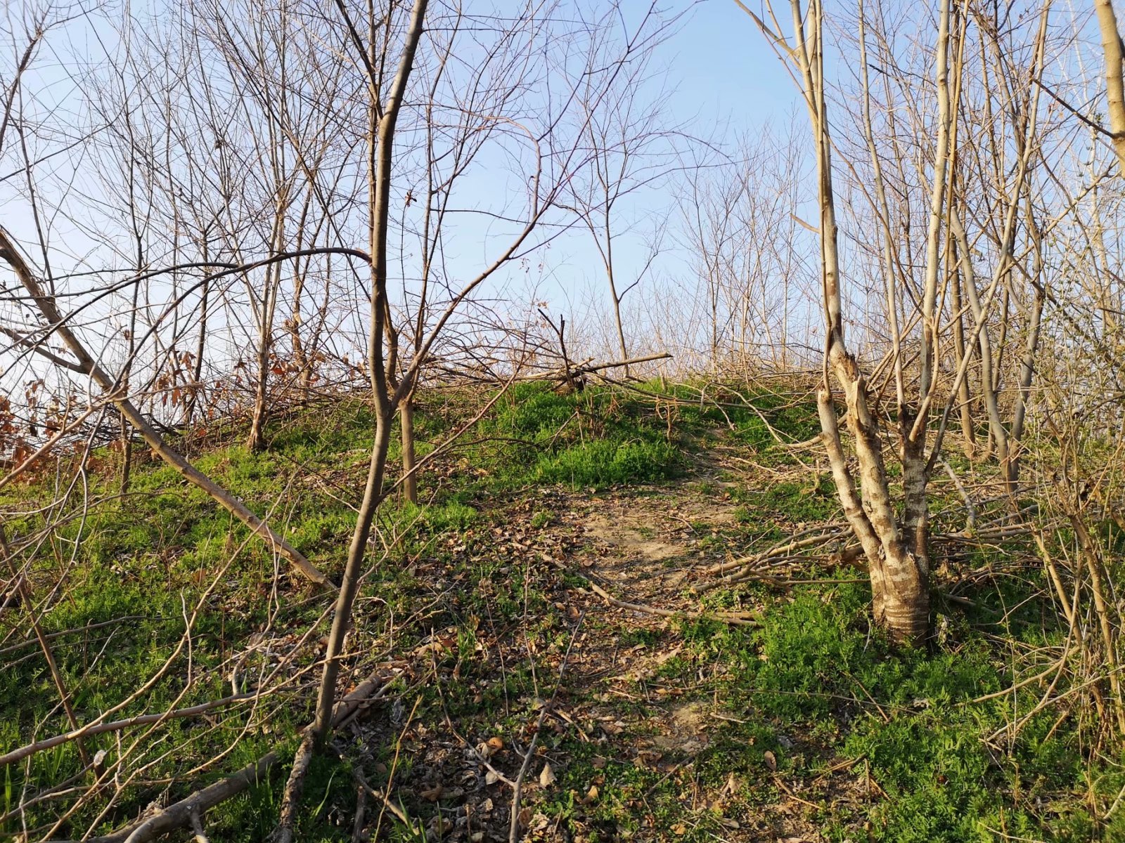 摩托周边旮旯游——探访明光法华禅庵塔