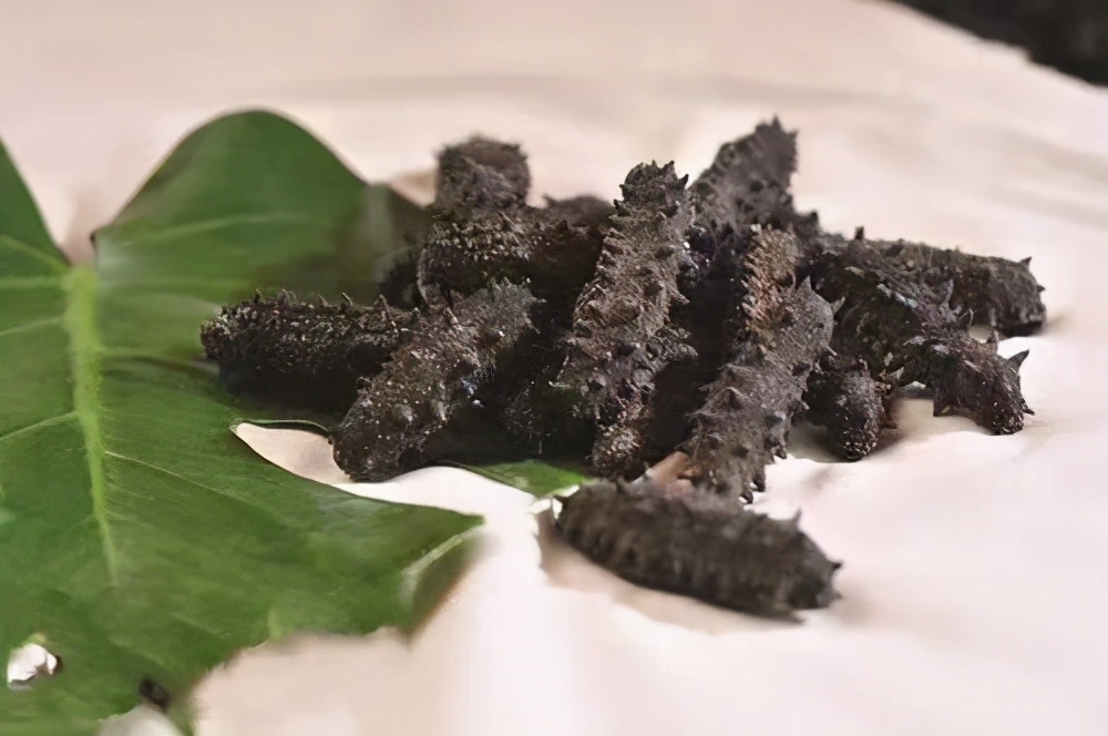 干海参颜色发黄是怎么回事,干海参辨别野生