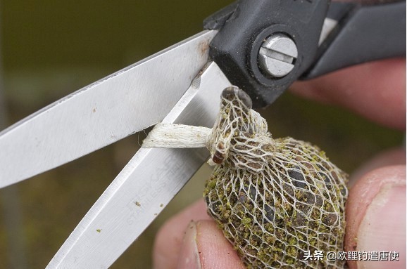 外国人钓鱼打窝技巧,老外用超大饵钓鱼