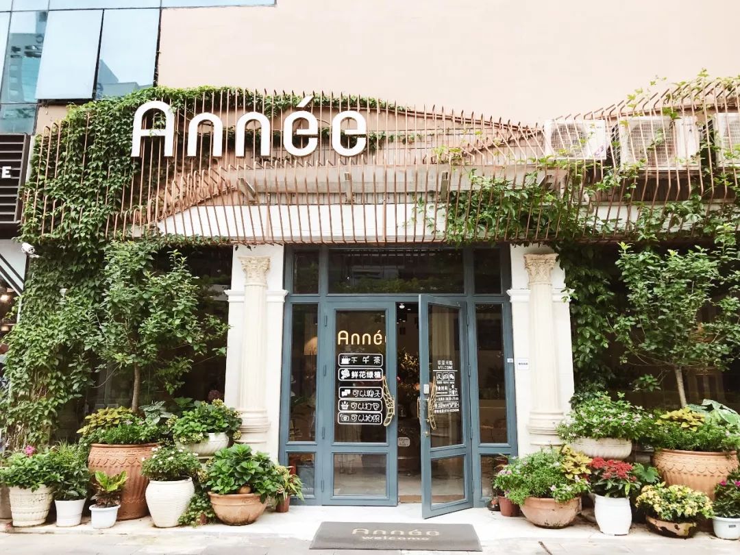 深圳有几家出名花店,深圳比较好的花店推荐