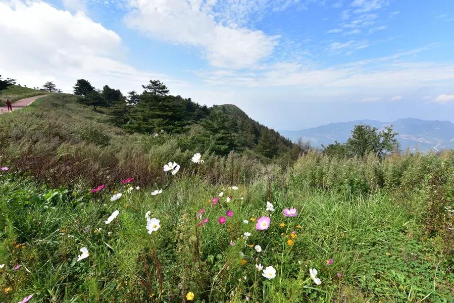 景点山楂树之恋,相约百里荒