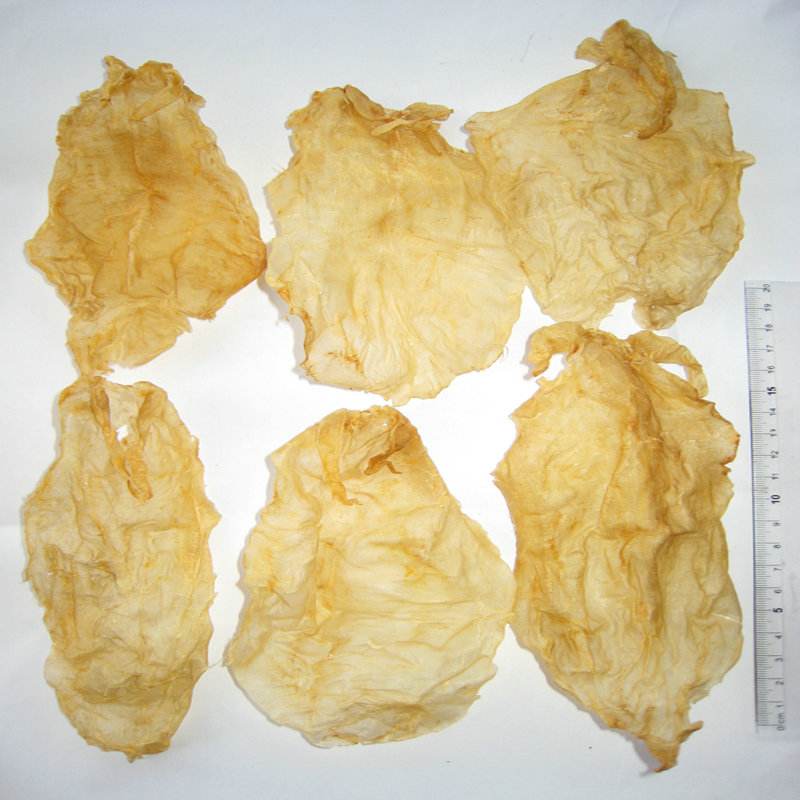 怎样泡发鱼胶和炖鱼胶,鱼胶的泡法简单又好吃