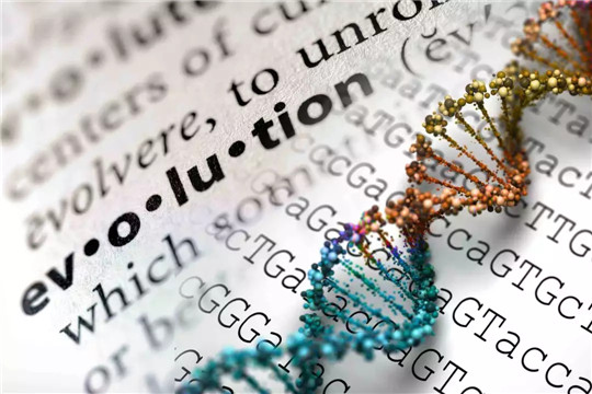 中国汽车到底如何发展,中国汽车销量为什么越来越少了呢