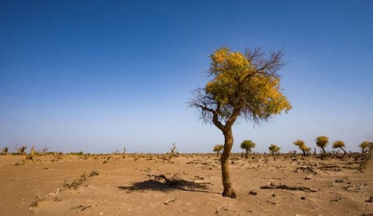 教改20年,三线以下城乡素质教育的问题和希望(原创