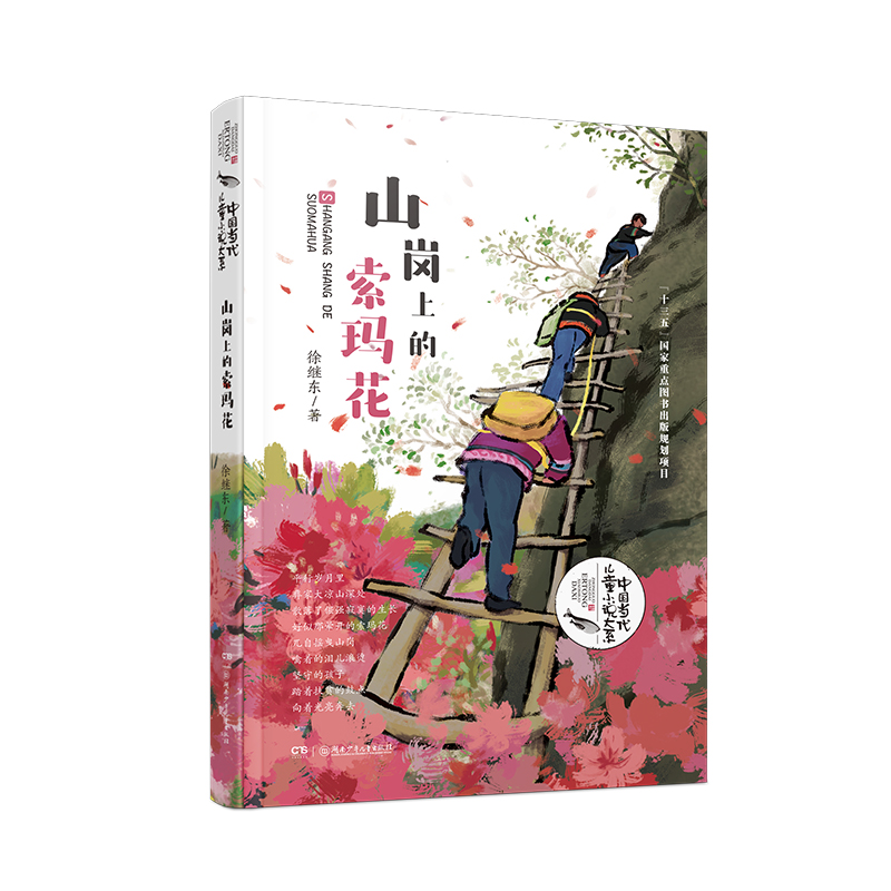 山岗上的索玛花故事简介,山岗上的索玛花主要内容