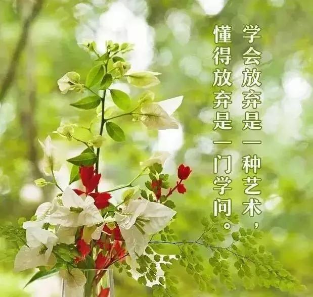 早晨问安:生命中,有风,有雨,但别忘也会有阳光,早晨好!