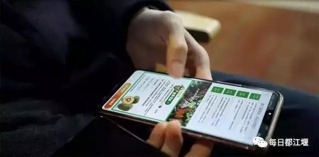 壮丽70年·奋斗新时代|农村电商让都江堰农旅产品“香”起来!