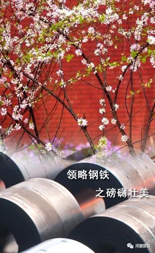 娌抽挗閭挗閾佽矾,娌抽挗閭挗楂樼倝