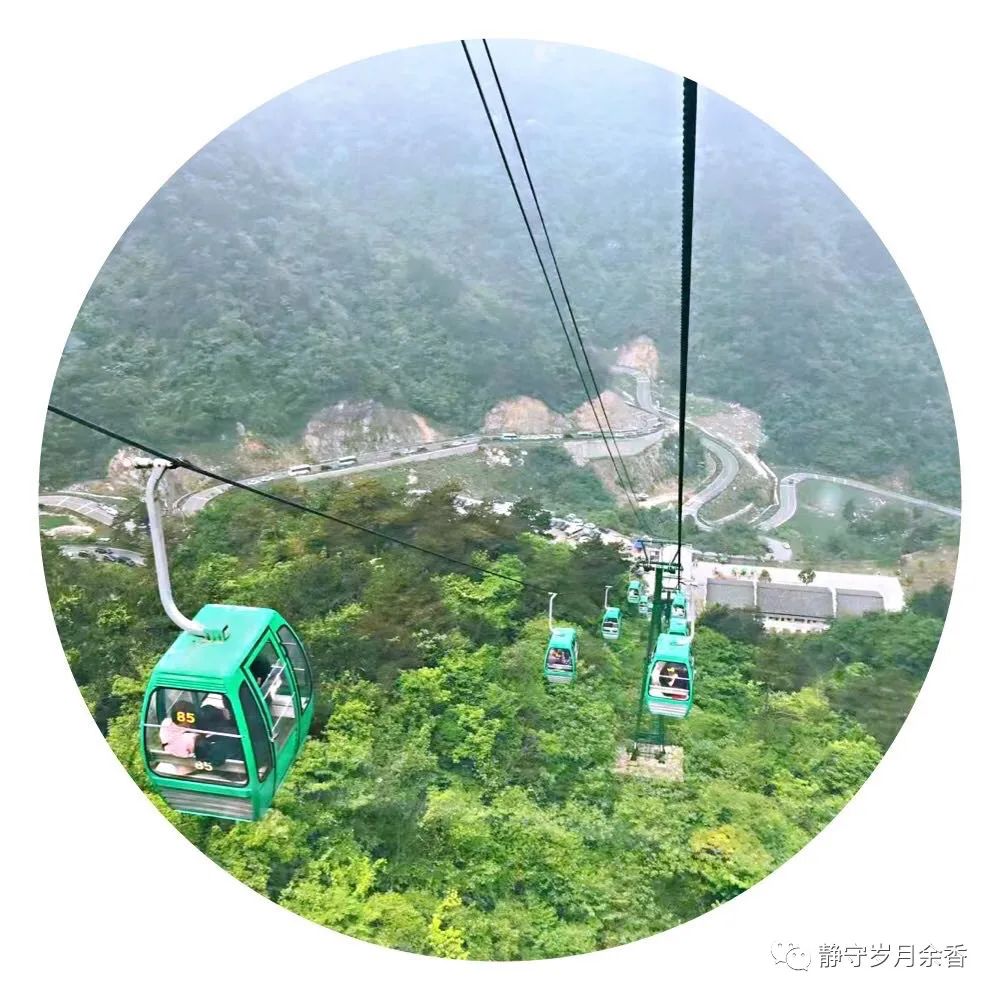 情满龟峰·诗涌花海