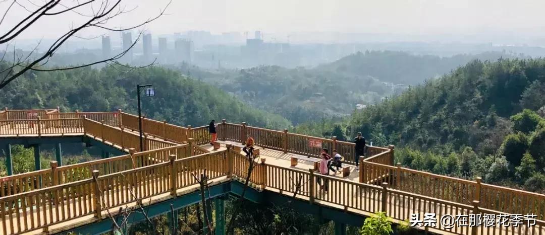 马祖岩人文公园大概多少公里,马祖岩人文公园夜光路