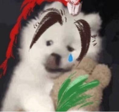 剑网三pvp必须面向敌人吗,剑网三pvp有多穷