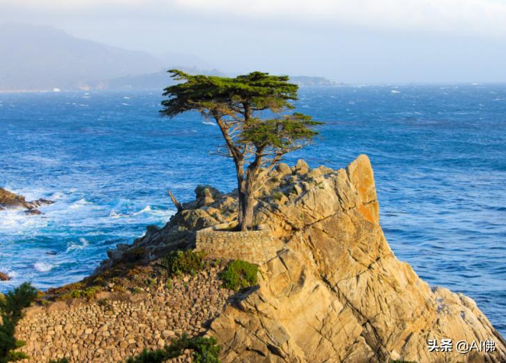 美国印第安人寄宿学校,美国排名前十的高中寄宿学校