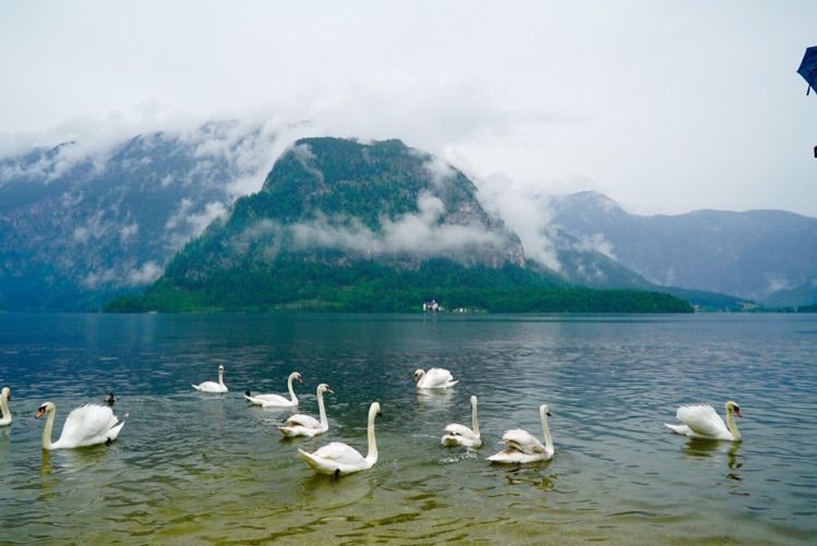 欧洲小镇的美丽风景令人心旷神怡,欧洲最美的湖边小镇
