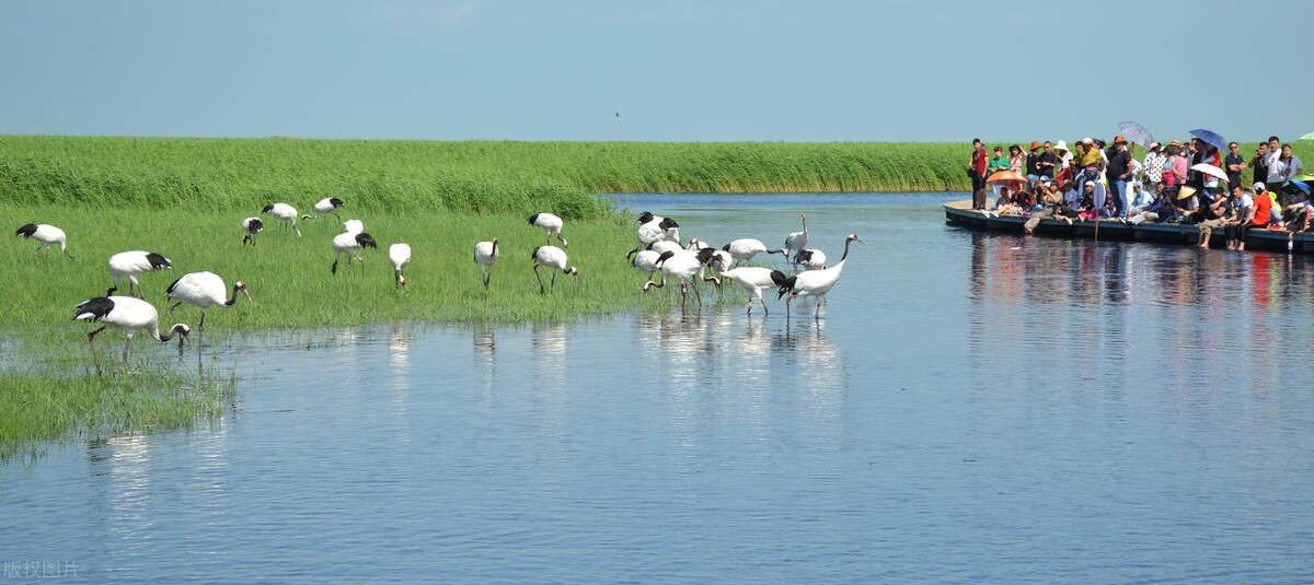 漫谈丑未之岁疫气方，及夏季、湿热杂病治法与方药