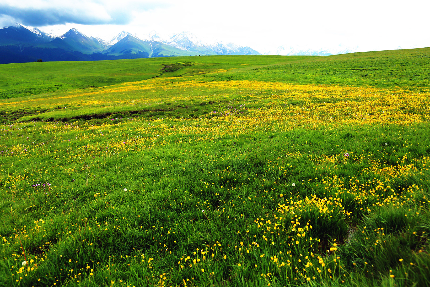 阿坝藏族羌族自治州哪个县最发达,阿坝每个县的经济状况