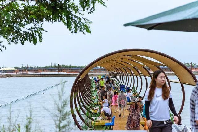 你是否见过鱼儿逆流而上?这里的“渔文化”妙趣横生