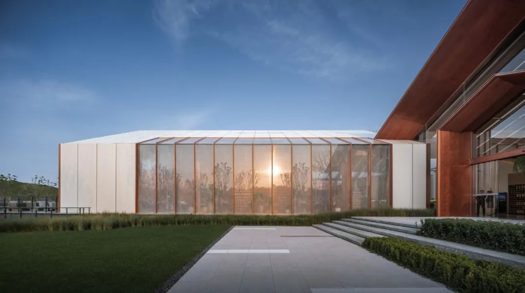 lsd艺术风格,lsd完整形式