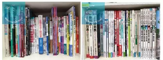 日本单轨式铁路,日本的轨道交通