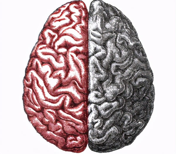 大脑失去一半会怎样,人类没有了大脑还能活吗