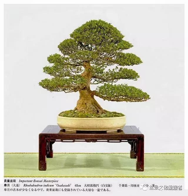 他山之石可以攻玉诗句,他山之石可以攻玉的作品