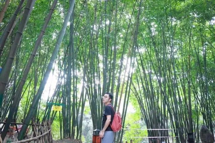 成都最有潜力的花园,成都是个大花园