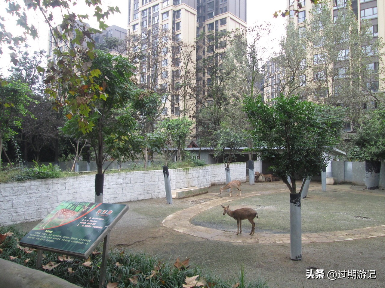 成都小众景点全部,成都动物园本周六免门票怎么预约