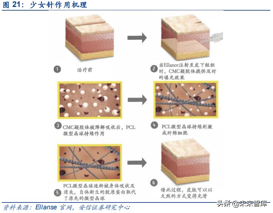 胶原蛋白在大健康行业的应用,胶原蛋白的新材料