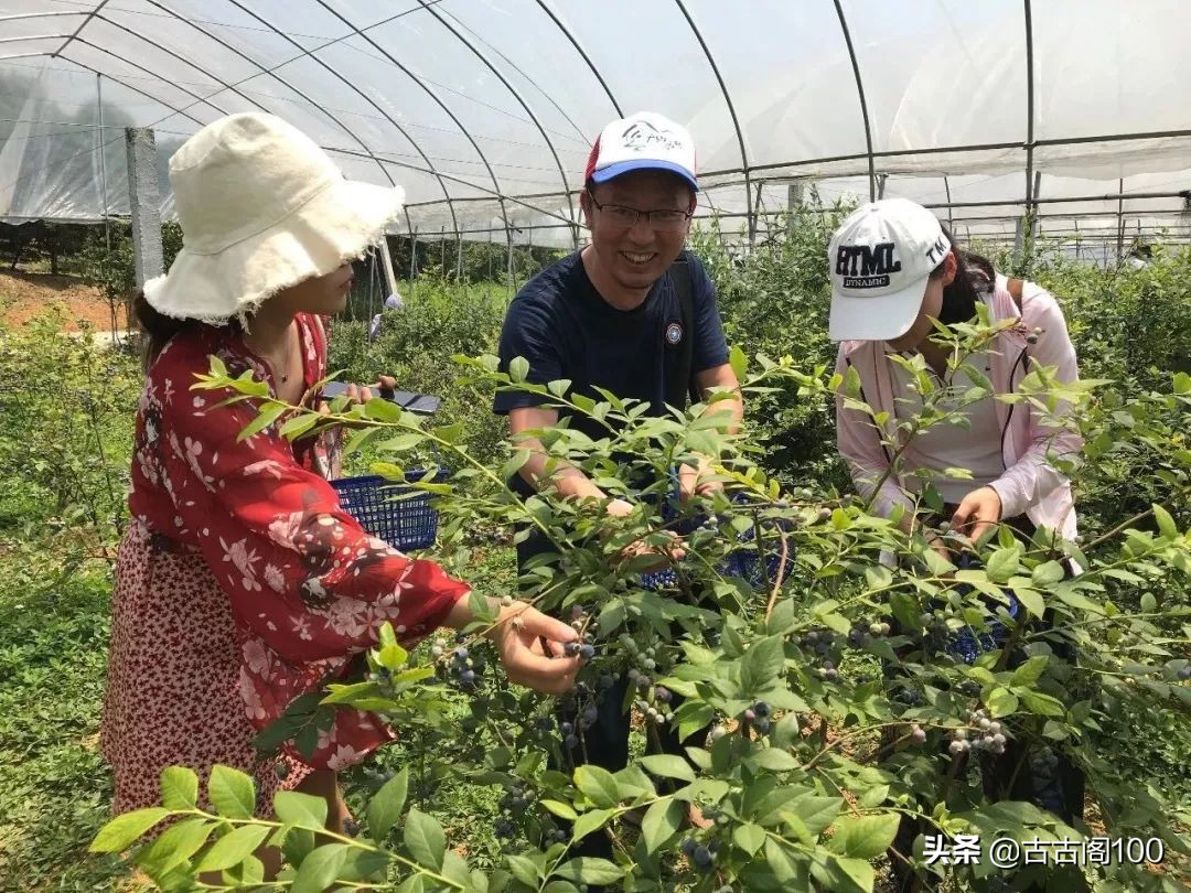 与兰亭对应的书法圣地,兰亭书法纪念馆