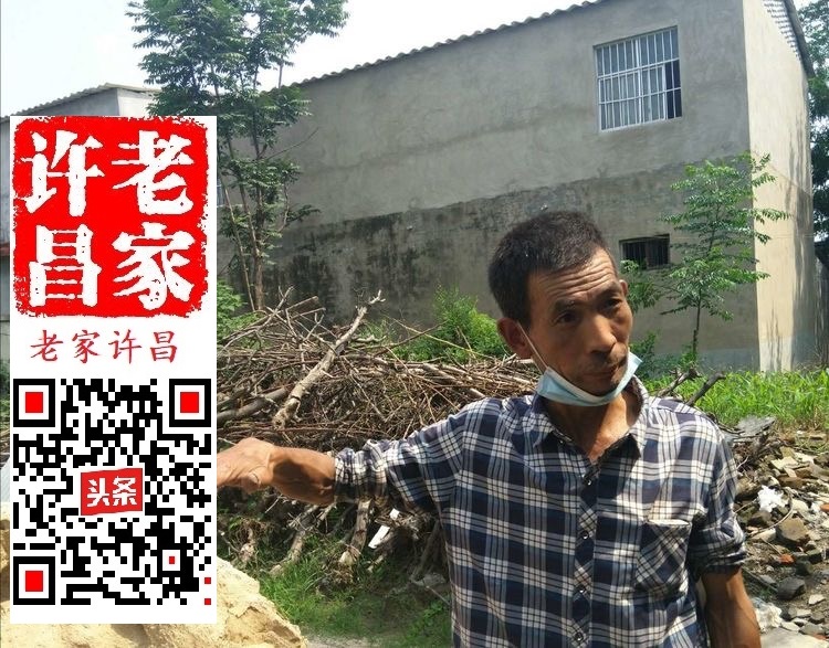 许昌老池的奥妙:井中曾有鱼,土中有龙骨