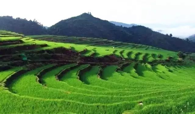 广东旅游攻略自驾游最佳路线,广东旅游攻略自驾游带孩子三天