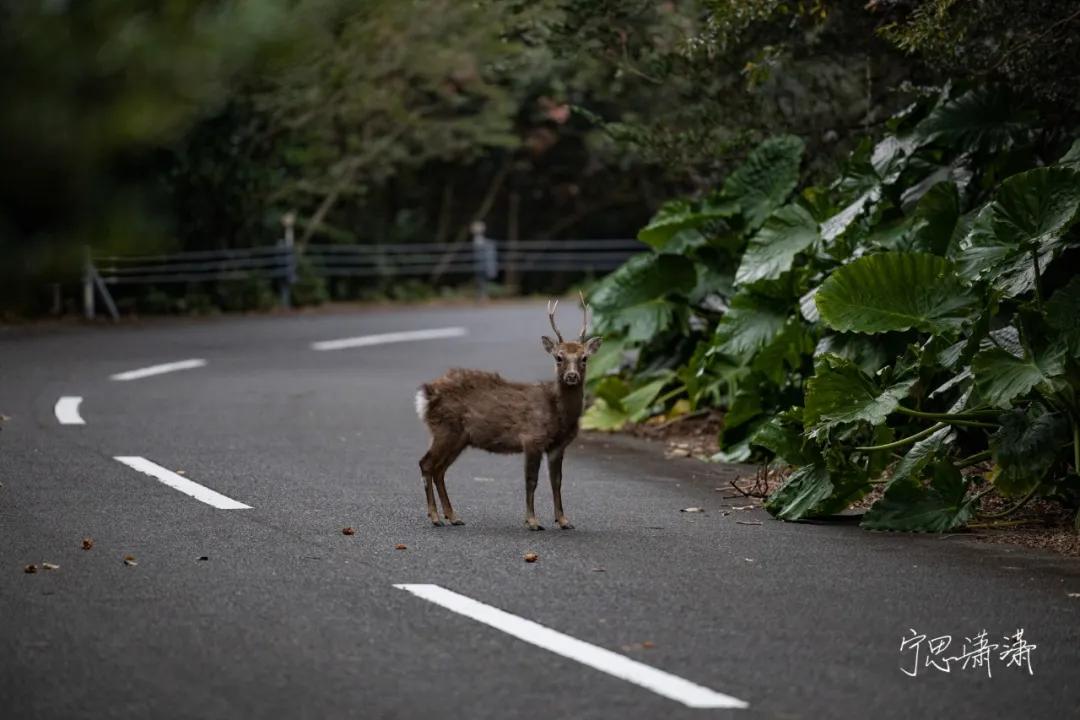 摄影初学者预算两千买什么相机,家用和旅游摄影买什么相机