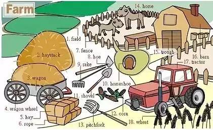 史上最全英语发音,史上最全英语词汇图