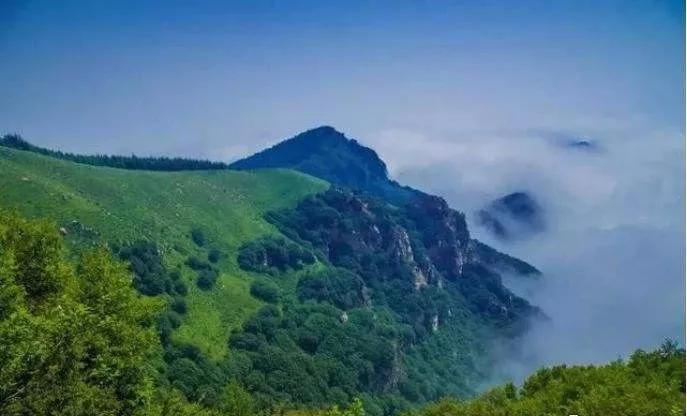 吃在驼梁，体验舌尖上的味道/郝贵云