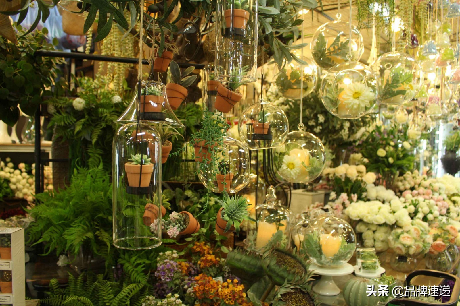 愿你早日能开一家花店,你是否曾有过开一家花店的梦想