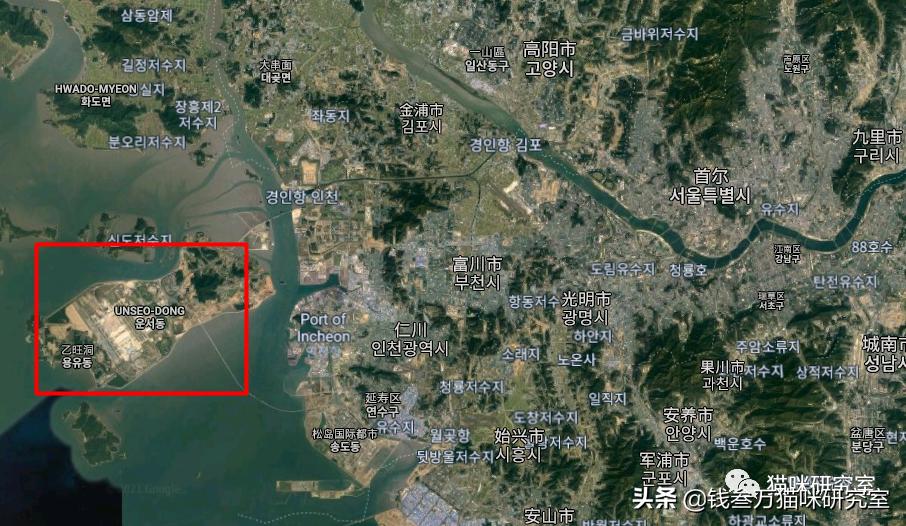 为什么买不到进口猫粮了,为什么选择进口猫粮