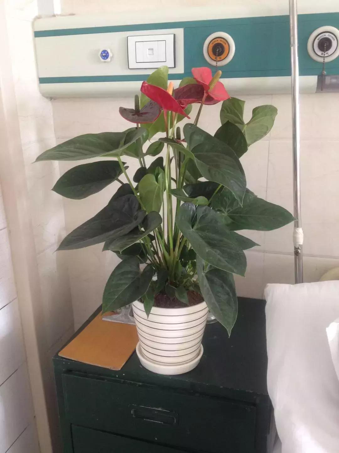 每天跑步五公里治愈癌症,有氧跑步战胜癌症的案例