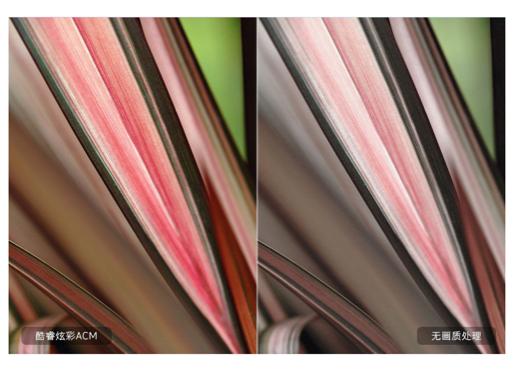 全球顶级风景大片,8k顶级风景超清原图